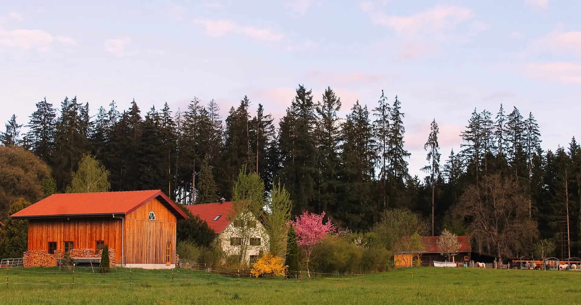 Titelbild von Islandpferdehof Machelberg
