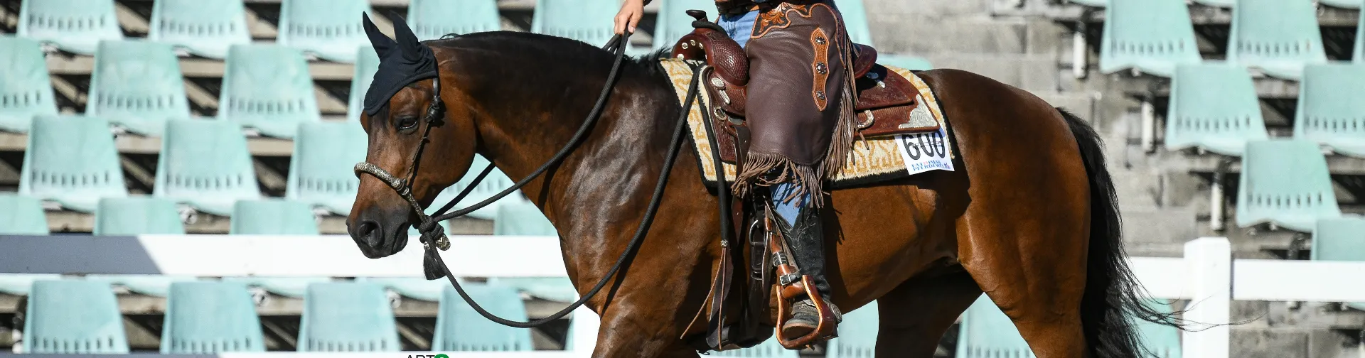 Titelbild von AR Trainingstable, Astrid & Markus Rensmann