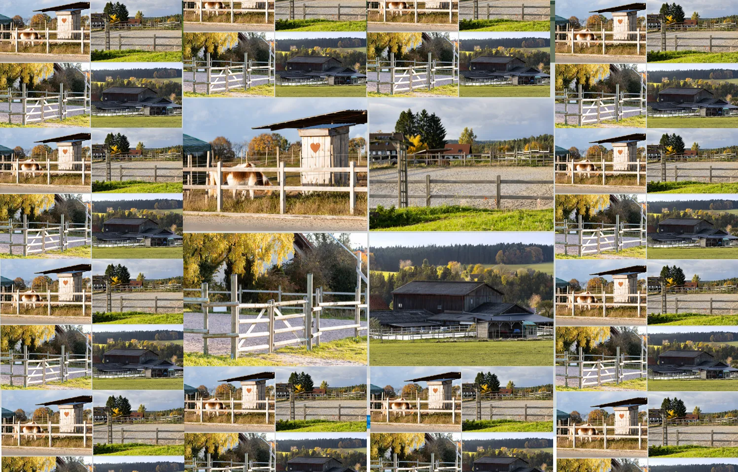 Titelbild von Waldhufenhof Würzbach