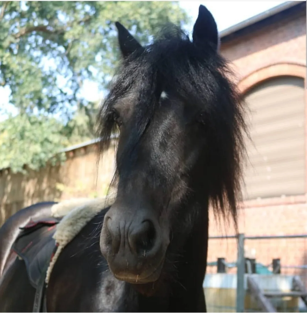 Titelbild von Heide Ranch