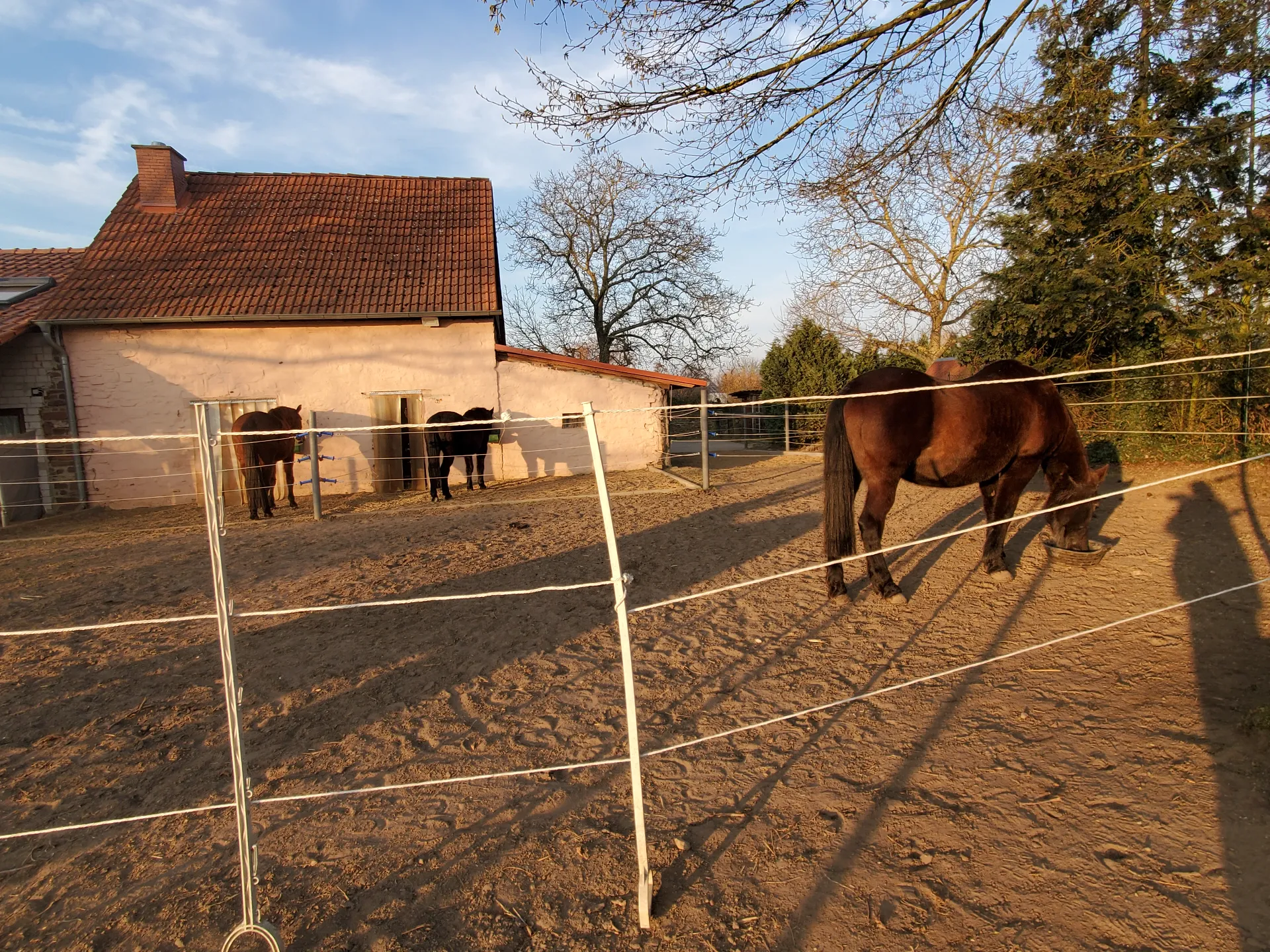 Titelbild von SiLu-Ranch
