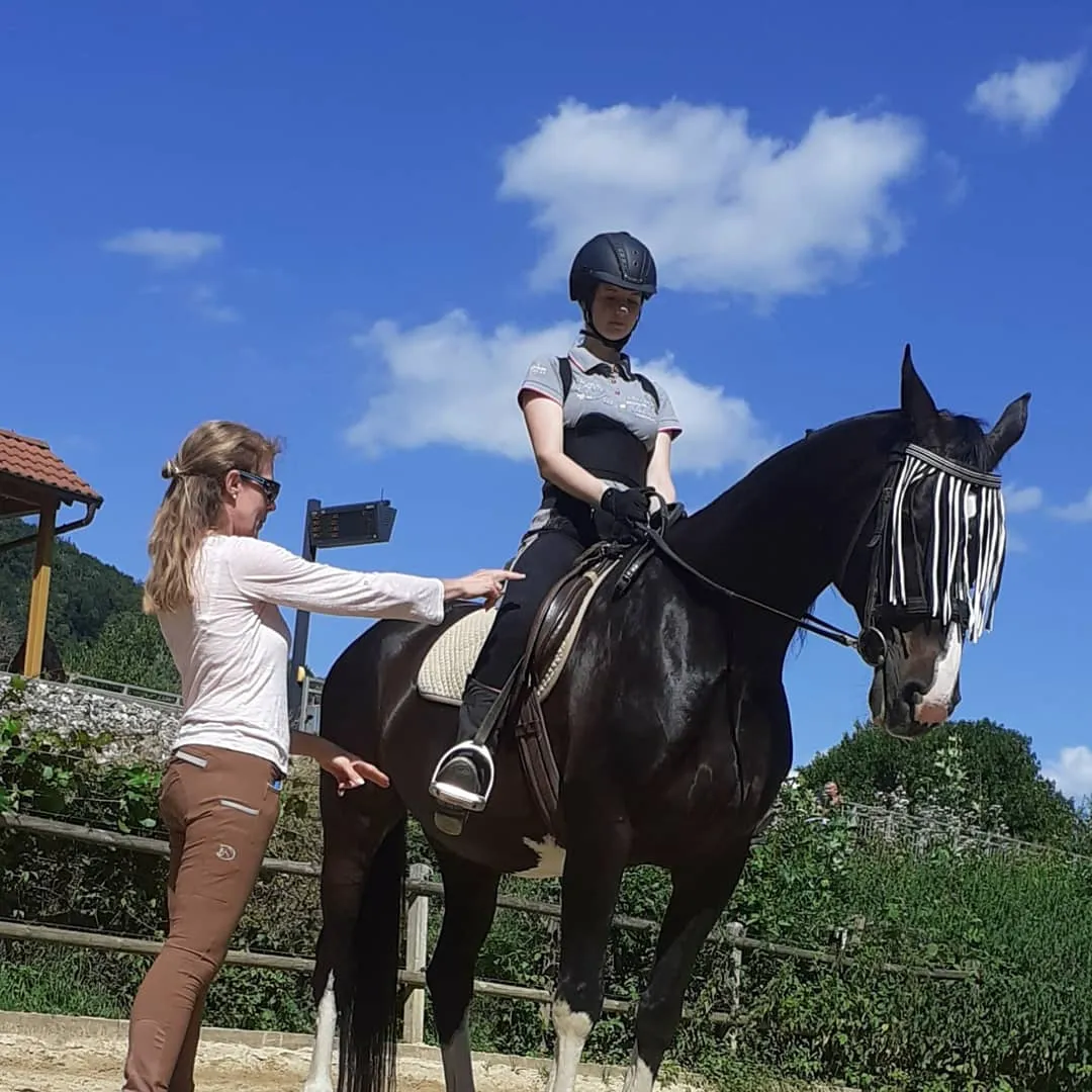 Titelbild von Reitanlage Idler