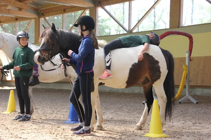 Titelbild von Reitschule Haug